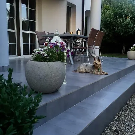 Pokoje W Rusinowie Alloggio in famiglia *